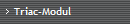 Triac-Modul